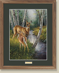 Birch Creek-Whitetail Deer by Rosemary Millett